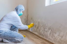 Best Mold Documentation for Insurance Claims in USA